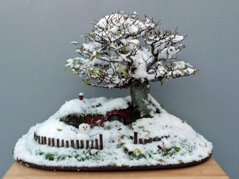 Salju makin tebal, karenanya Chris membuat manusia salju mini.