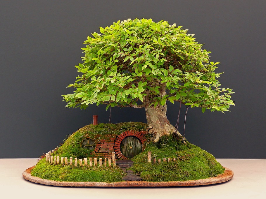 Lanskap nampan Bonsai Bag End