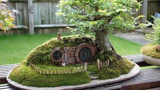 Bonsai gila dan tidak umum