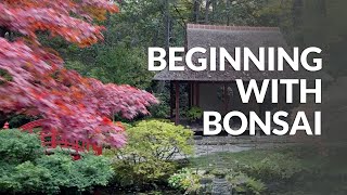 Belajar cara menanam bonsai