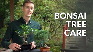 Video penempatan sebuah Bonsai