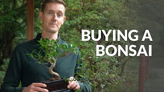 Membeli pohon bonsai di toko atau secara online